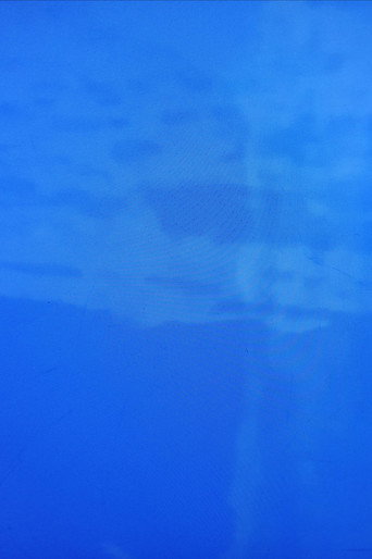 Movie poster for Imitation of Waves - Guy's Visions (2025)