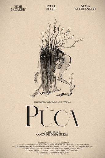 Púca poster