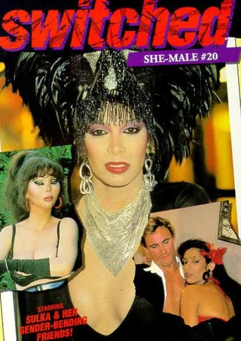 Movie poster for She-Male Encounters 20: Switched (1989)