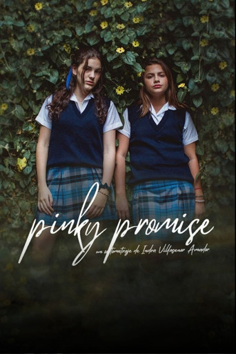 Movie poster for Pinky Promise (2020)
