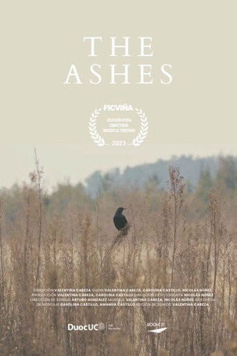Movie poster for The Ashes (2023)