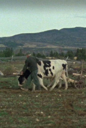 Movie poster for Les boeufs de labour (1977)