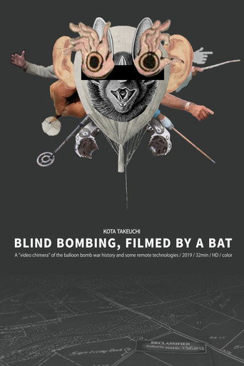 Movie poster for Blind Bombing, Filmed by a Bat (2020)