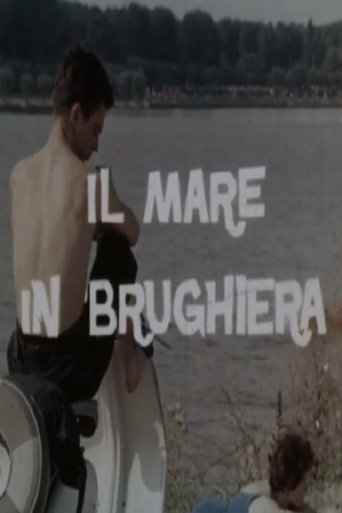 Movie poster for The Sea on a Moor (1962)