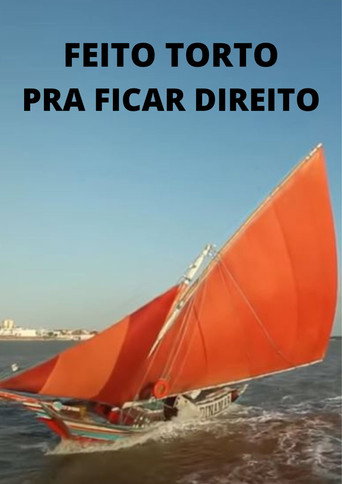 Movie poster for Feito Torto pra Ficar Direito (2015)