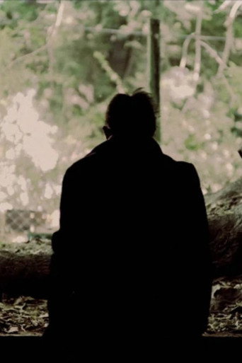 Movie poster for Threshold (2025)