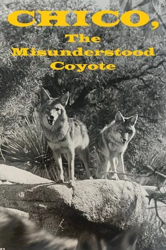 Chico, the Misunderstood Coyote poster