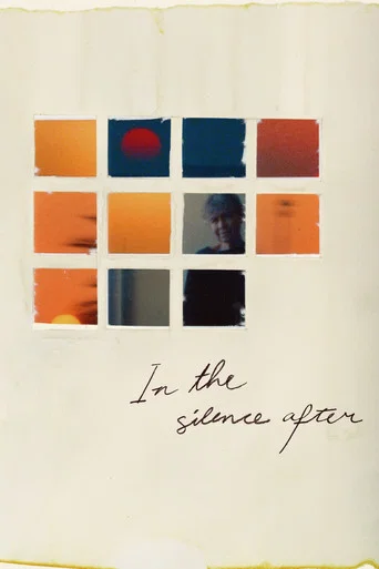 Movie poster for In the Silence After
