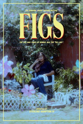 Movie poster for Figs (2023)