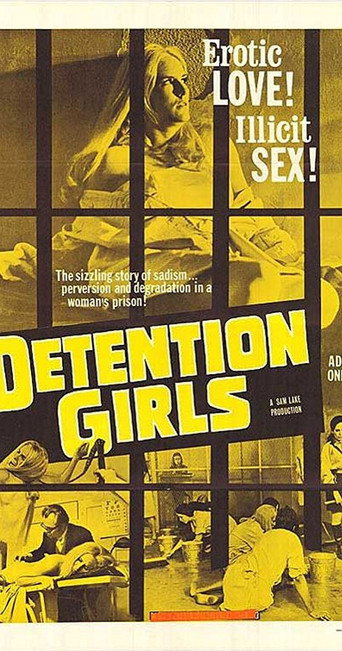 Movie poster for The Detention Girls (1969)