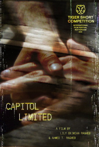 Movie poster for Capitol Limited (2024)