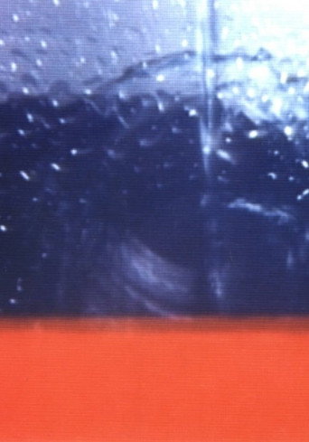 Movie poster for The Secret Abyss (1979)