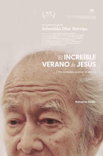 The incredible summer of Jesús poster