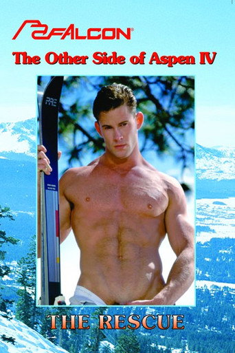 Movie poster for The Other Side of Aspen IV: The Rescue (1995)