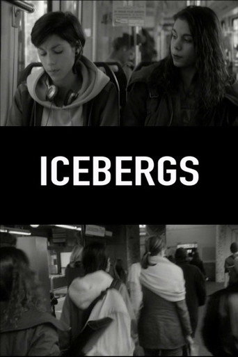 Movie poster for Icebergs (2007)