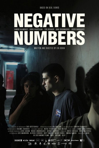 Movie poster for Negative Numbers (2023)