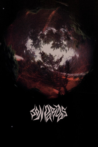 Grey at Night poster