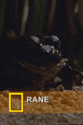 Movie poster for Fearsome Frogs (2000)