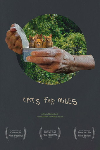 Movie poster for Cats for Miles