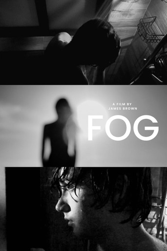 Movie poster for Fog (2025)