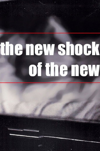 Movie poster for The NEW Shock of the New (2004)
