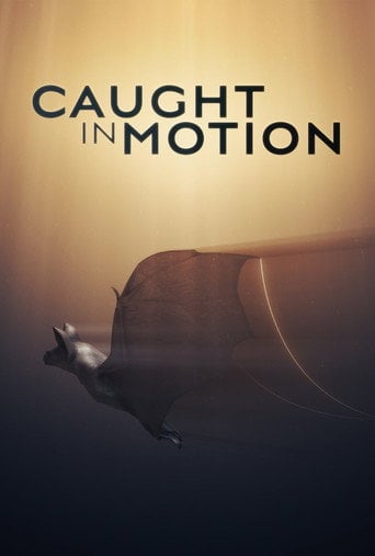 Series poster for Caught in Motion (2025)