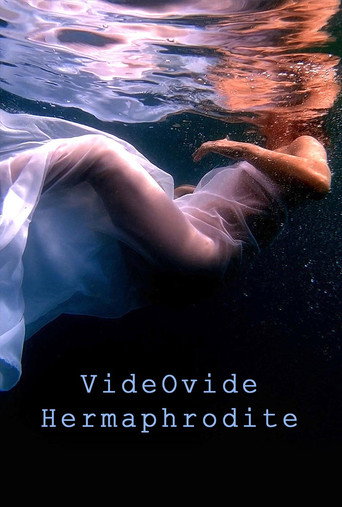 Movie poster for VideOvide Hermaphrodite (2019)