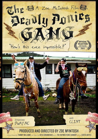 Movie poster for The Deadly Ponies Gang (2014)