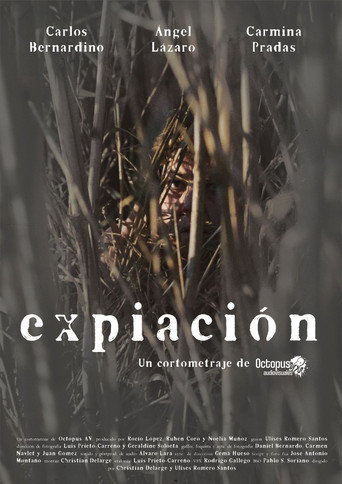 Expiación poster