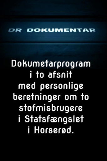 Pigerne i Horserød poster