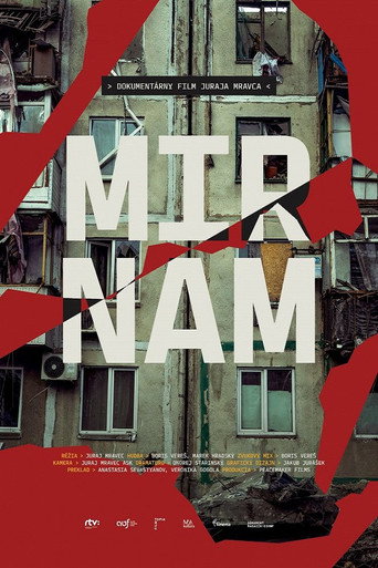 Movie poster for Mir Nam (2024)