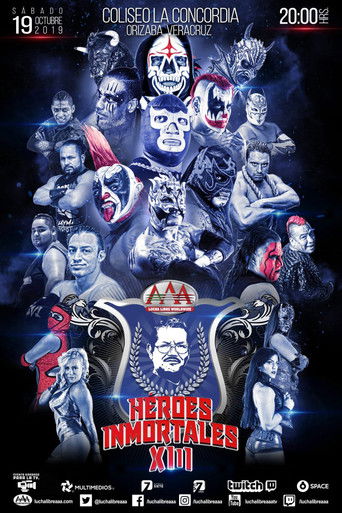 AAA Héroes Inmortales XIII poster