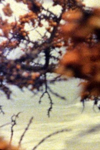 Movie poster for At the Sea (1995)