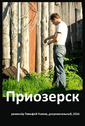 Movie poster for Priozersk (2016)