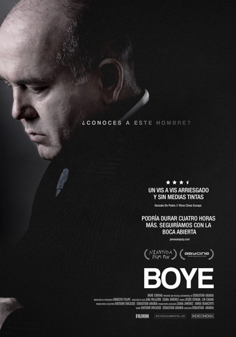 Movie poster for Boye (2017)