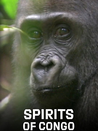 Movie poster for Spirits of Congo (2020)