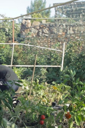 Movie poster for In the Yard (2024)