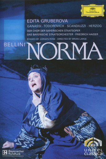 Movie poster for Norma (2007)
