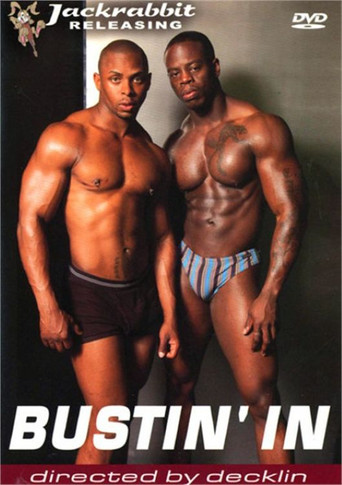 Movie poster for Bustin' In (2004)