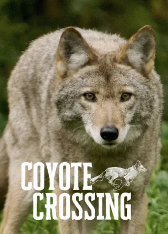 Movie poster for Coyote Crossing (2026)