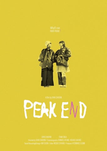 PEAK END poster