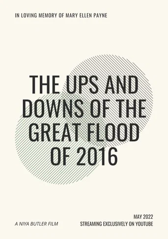 Movie poster for The Ups and Downs of the Great Flood of 2016 (2022)