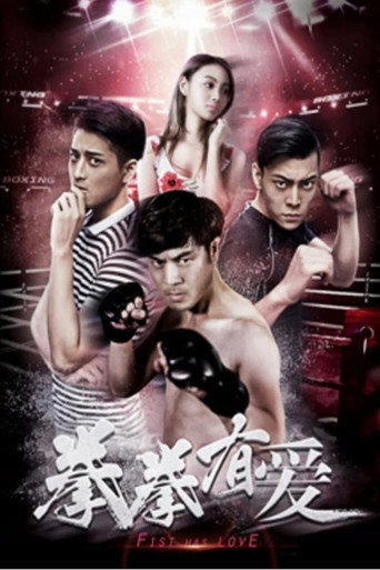 Movie poster for Fist Has Love (2019)