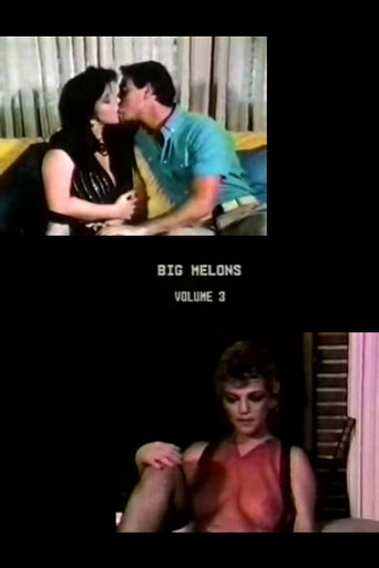 Movie poster for Big Melons 3 (1985)