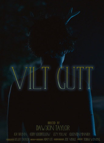 Movie poster for Vilt Gutt (2016)