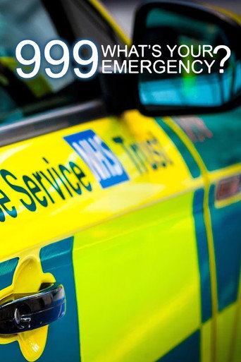 Series poster for 999: What's Your Emergency? (2012)