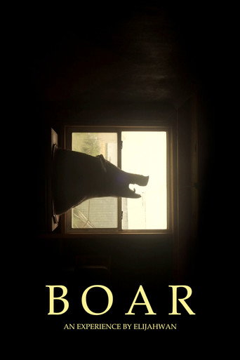 Movie poster for B O A R (2020)