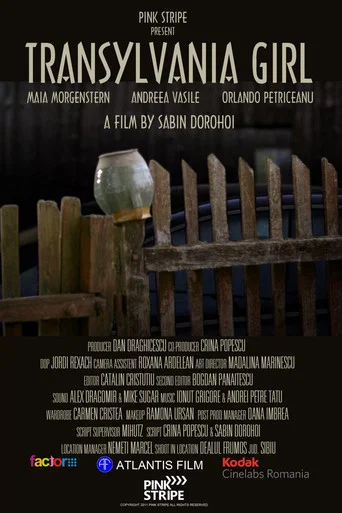 Movie poster for Transylvania Girl (2011)