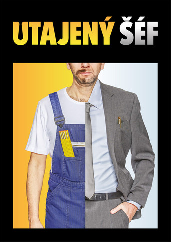 Utajený šéf poster