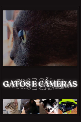 Movie poster for Cats and Cameras (2026)